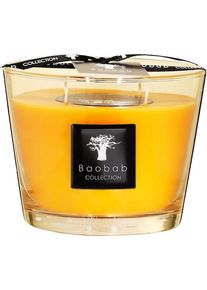 Baobab COLLECTION Baobab All Seasons Zanzibar Spices scented candle Scented candles Unisex 500 g