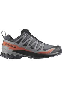 Salomon Herren Xa Pro 3D V9 GTX - breit (2E) grau 48.0