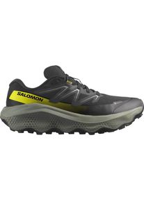 Salomon Herren Ultra Flow 2 GTX schwarz 45.3