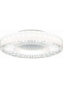 Ridi, Wandleuchte + Deckenleuchte, LED-Deckenleuchte (2450 lm)