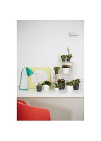 Elho, Blumentopf, Brussels (13 cm)