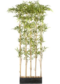 Creativ green Künstliche Zimmerpflanze »Bambusraumteiler« im Holzkasten in grün, Größe B/H/L: 160 cm