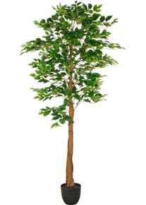 Creativ green Kunstbaum »Ficus Benjamina« mit naturgetreuem Blattwerk und Stamm in grün, Größe B/H/L: 150 cm