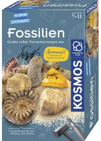 Kosmos Experimentierkasten »Fossilien« in bunt