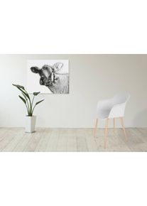 Kayoom Stuhl »Chester 110 4er-Set in weiß, Größe B/H/T: 82 cm x 59 cm x 53 cm