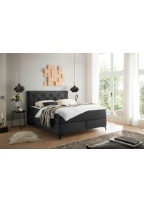 Ed Exciting Design Boxbett »Monroe inkl. Bettkasten in grau, Größe Liegefläche B/L: 160 cm x 200 cm