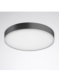 Trilux, Wandleuchte + Deckenleuchte, 10159816 (4700 lm)