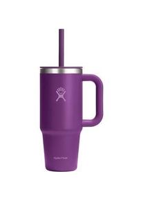 Hydro Flask, Trinkflasche + Thermosflasche, (0.71 l)