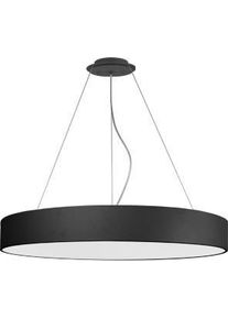 LTS, Pendelleuchte, LED-Pendelleuchte (10820 lm)