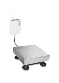Kern, Feinwaage, KGP 300K-2L Plattformwaage mit Z&auml;hlfunktion 300kg / Aufl&ouml;sung 100 g