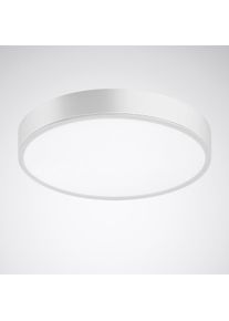 Trilux, Wandleuchte + Deckenleuchte, 10159788 (2800 lm)