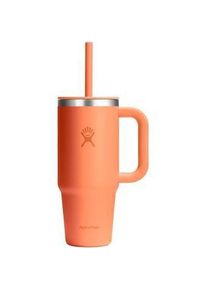 Hydro Flask, Trinkflasche + Thermosflasche, (0.71 l)