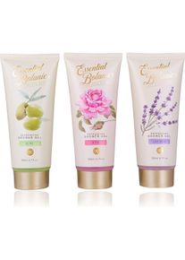 accentra, Duschmittel, Duschgel ESSENTIAL BOTANICS - CLASSICS in Tube, 200ml, 3 Motive/Düfte sortiert: Lavendel/Olive/Rose (200 ml)