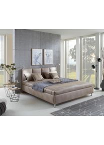 Westfalia Schlafkomfort Bett, Größe B/L/H: 190 cm x 210 cm x 25 cm