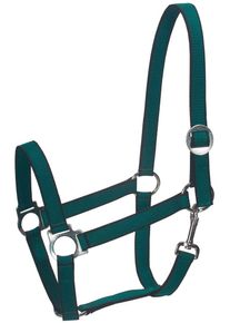Göbel Göbel Nylon-Halfter, gepolstert, Warmblut, Gr. 3, grün