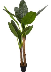 NATURN LIVING Pianta da appartamento Musa - &oslash; 45 x 160 cm - Pianta di banana in plastica - Pianta finta - Pianta allergica - Verde