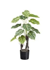 P & B Kunstpflanze , Grün , Kunststoff , 70 cm , Dekoration, Blumen & Blumentöpfe