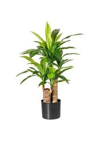 P & B Kunstpflanze , Grün , Kunststoff , 80 cm , inkl. Topf , Dekoration, Blumen & Blumentöpfe