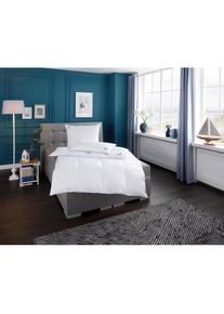 Ribeco , Federbettdecke »Anker« warm Füllung Federn & Daunen Bezug Baumwolle 1 Stk. tlg. , weiß , Bezug: 100% Baumwolle. Füllung: 90% Federn, 10%...