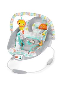 Bright Starts, Babywippe, Vibrierende Babywippe, Whimsical Wild
