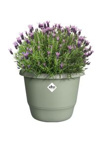 Elho, Blumentopf, Amiga Rund (29.50 cm)