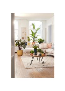 Elho, Blumentopf, Blumenschale (9 cm)