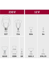 Paulmann, Leuchtmittel, Reflektor Flat (GU10, 550 lm, 1x)