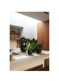 Elho, Blumentopf, Jazz Rund (19 cm)