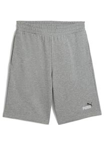 Puma, Herren, Shorts, ESS 2 COLOR No. 1 Logo Shorts 10" TR, Grau, (XXL)