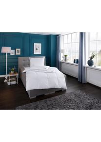 Ribeco Bettdecke + Kopfkissen »Anker«, Größe B/L: 80 cm x 80 cm Anzahl Teile 1