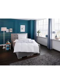 Ribeco Federbettdecke »Anker« extrawarm Füllung Federn & Daunen Bezug Baumwolle 1 Stk. tlg., Größe B/L: 200 cm x 220 cm