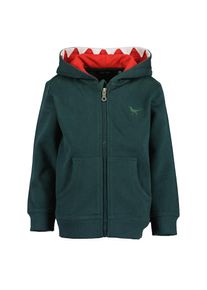 Blue Seven , Kinder , Sweatjacke »Sweatjacke mit Kapuze«, 1 Stk. , 745 - TANNE , 110 , 110 , Weiche Sweatjacke für Jungen mit Dino Stickerei