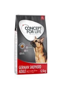 12kg Berger Allemand Adult Concept for Life - Croquettes pour chien