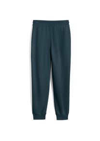 Puma, Damen, Sporthose, CLASS Comfort Sweatpants FL cl (S), Grün