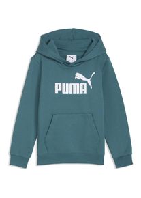 Puma, Jungen, Pullover, ESS No. 1 Logo Hoodie FL PS, Grün, (122)