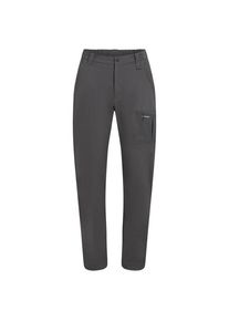 Icebreaker Women's Merino Elevation Stretch Pants Walking trousers Women (30, grey)