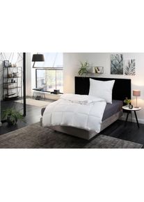 Ribeco , Kunstfaserbettdecke »Isabel« 4-Jahreszeiten 1 Stk. tlg. , weiß , Bezug: 100% Polyester. Füllung: 100% Polyester , B/L: 155 cm x 220 cm