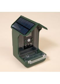 TIAKI Comedero con cámara 10,5x10 x17,5 cm, verde para pájaros