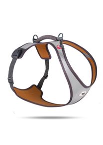 Curli Glow Belka Hundegeschirr, grau, XL