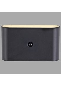 ZIDDY Applique murale Luminaires Leuchten Direkt LED Noir, 2 lumières, Détecteur de mouvement