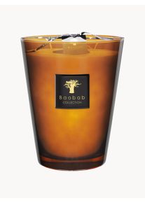 Baobab COLLECTION Scented Candle Prestigieuses (Leather, Vetiver & Musk) Brown Glass Ø 19 x H 24 cm
