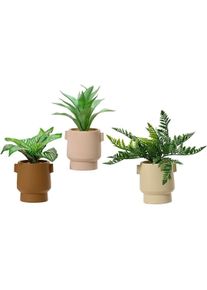 Edm, Kunstpflanzen, Dekorationspflanze 808559 25 cm Blumentopf (25 cm)