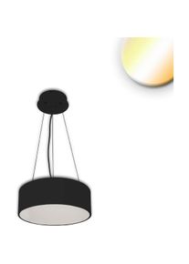 Isoled, Pendelleuchte, LED Hängeleuchte, DN400, schwarz, 25W, ColorSwitch 3000/3500/4000K, dimmbar