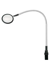 Waldmann, Arbeitsleuchte, 113142000-00618830 Lupenleuchte (570 lm)