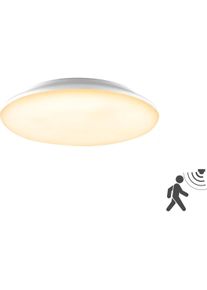 EVN-Lichttechnik, Wandleuchte + Deckenleuchte, LED-Anbauleuchte (1900 lm)