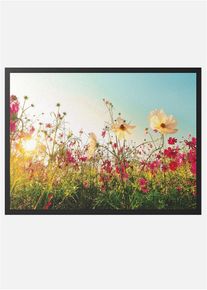 bonprix Preș de intrare cu print cu c&acirc;mp de flori, multicolor, 38/59 cm