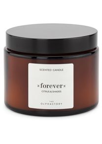 Bougies parfumées The Olphactory