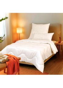 John Cotton , Microfaserbettdecke »Emilia, Bettdecke 135x200 cm, 155x220 cm, 200x220 & 240x220 cm« warm Füllung Polyester 1 Stk. tlg. Bettdecken,...