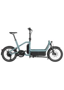 RIESE & MÜLLER Carrie touring - E-Cargobike