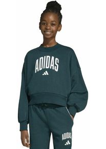 Adidas Seasonals Essentials Collegiate Graphics Jr - Sweatshirt - Mädchen